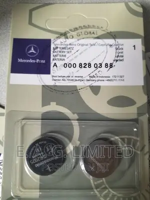 Mercedes Benz Remote Key Double Battery