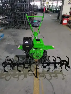 13hp Tiller