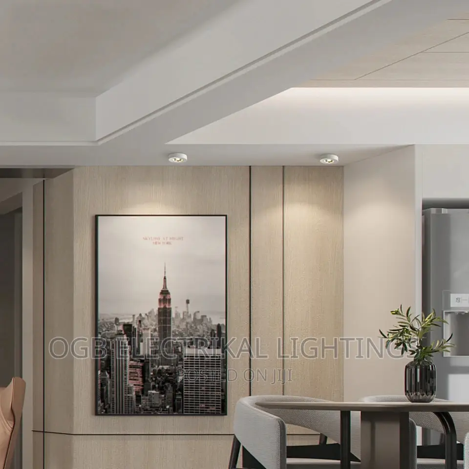 LED Surface Mounted Downlight