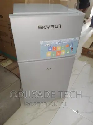 2 Door 2 Shelves Low Noise Skyrun Refrigerator Bcd85hc --85l