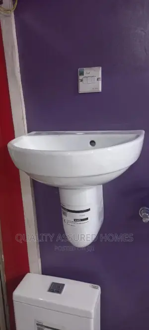 Wall Hung Basin And Hung
