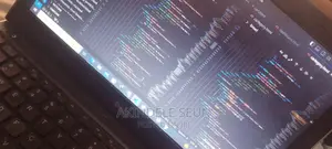 Software Developer