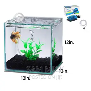 Complete Medium Size Cube Aquarium - 12 By 12 By 12 Inches