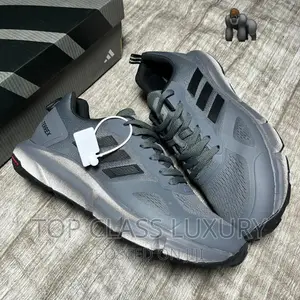 Original Adidas Terrex Grey/Black