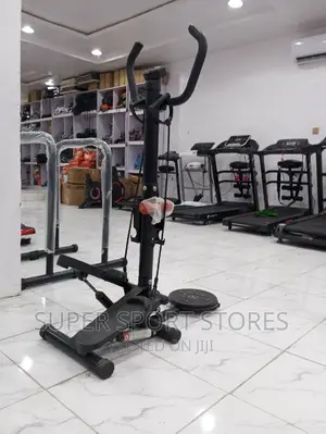 Standing Stepper, Waist Twister and 1kg Dumbbell