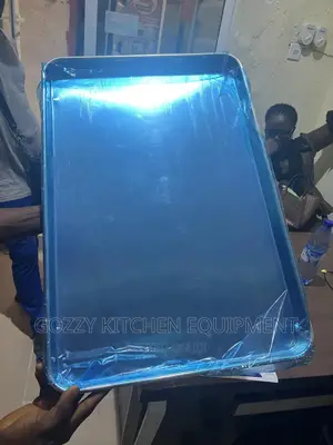Oven Trays Imported