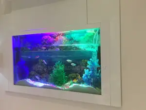5.5ft Wall Aquarium