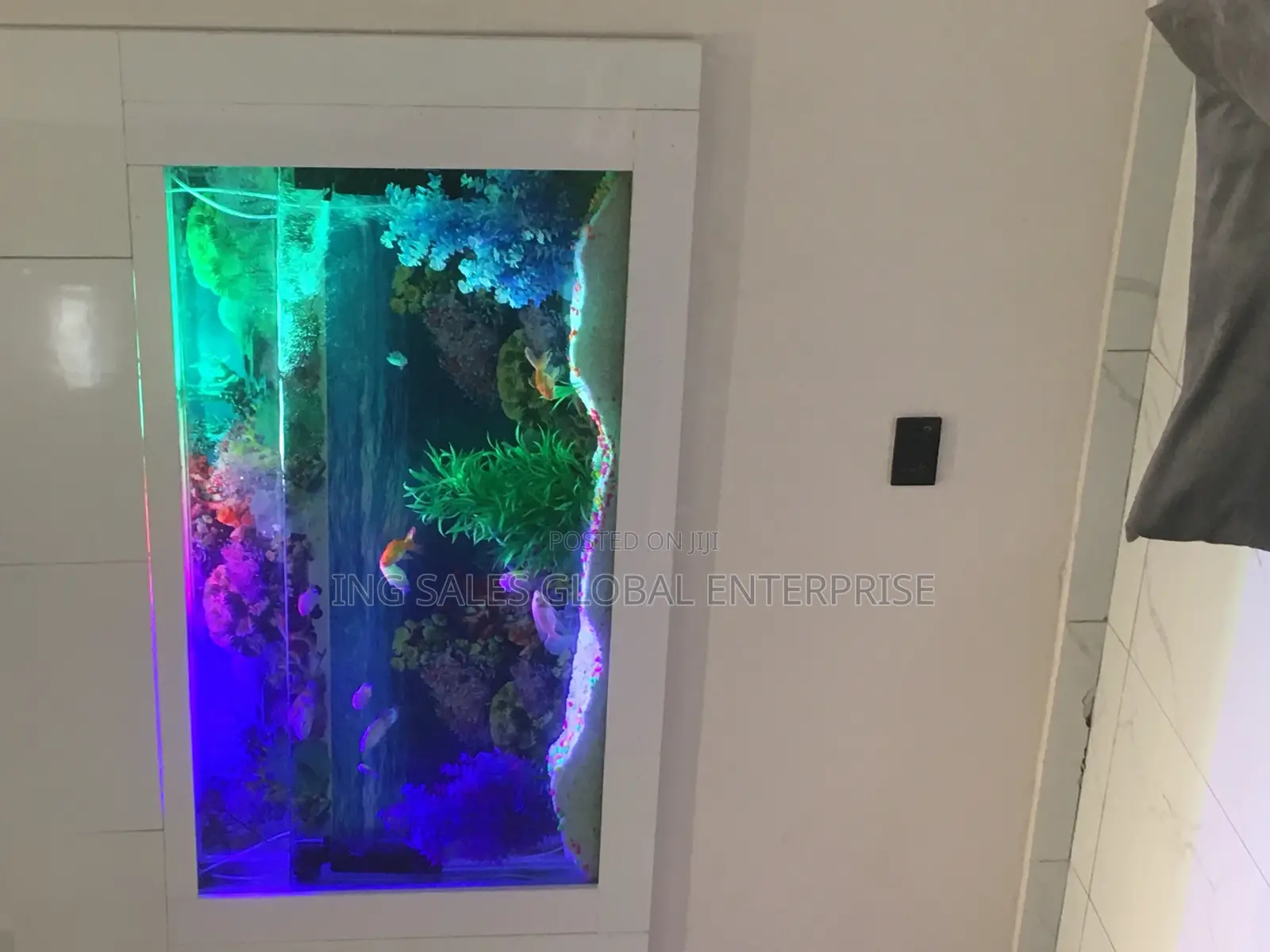 5.5ft Wall Aquarium