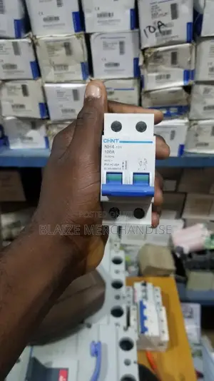100a 2pole MCB Circuit Breaker Nh4 Chint