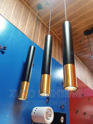 Modern Luxury LED Dropping Creative Singer Pendant Lights