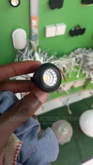 Button Spot Light 1w