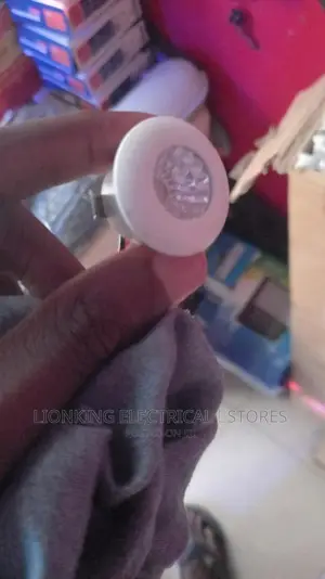 Button Spot Light 1w