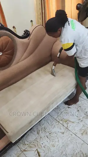 Cleaning Sofa Cleaning Services