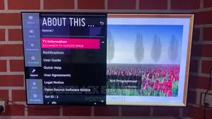 LG OLED 55 Inches 2021 Model
