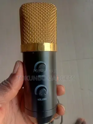USB Powered Studio Condenser Microphone