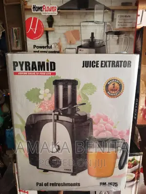 Pyramid Juice Extractor Pm J675
