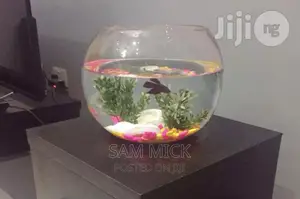 10 Liter Children Pet Fish Bowl Complete Kit - 20% Discount