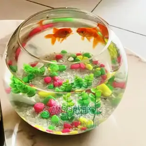 Aquarium Fishbowl Kit With 2 Fishes