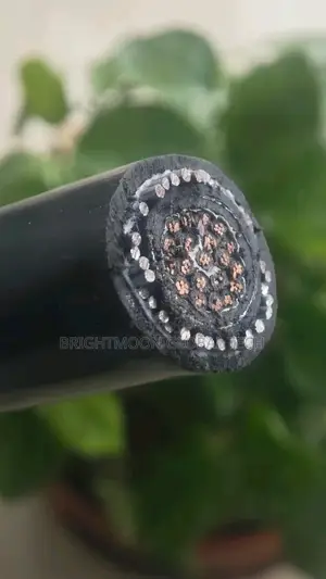 2.5mm 21core Armoured Cable Service Cable