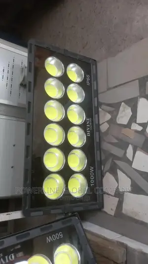 1000w Electric Flood Light for Companies/ Stadiums/ Estate's