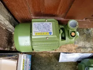 0.75hp Interdab Surface Pump