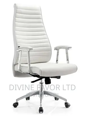 Imported Office Chair Swivel for Office Use