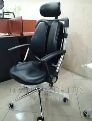 Ergonomic Office Chair for Back Pains