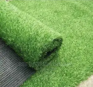 Artificial Grass/Synthetic Grass
