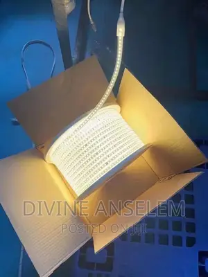 Wom White Rope Light