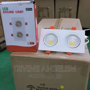 Double Spot Light