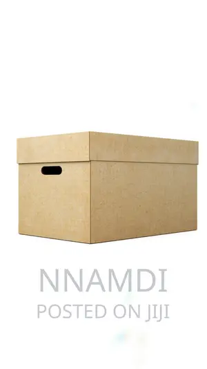 Archive File Storage Boxes For Company In Lekki