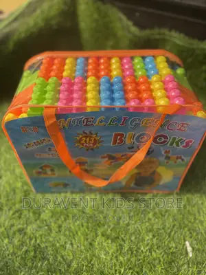 213 Pieces Intelligence Building Blocks