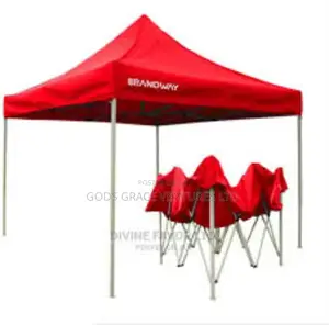 Foldable Canopy/ Gazebo 10ft X 10ft.