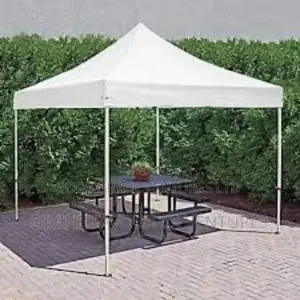 10 X 10 Foldable Canopy / Gazebo/ Tent.