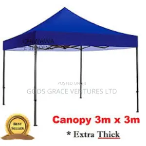 10 X 10 Foldable Canopy / Gazebo/ Tent.