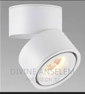 Ceiling Spot Light
