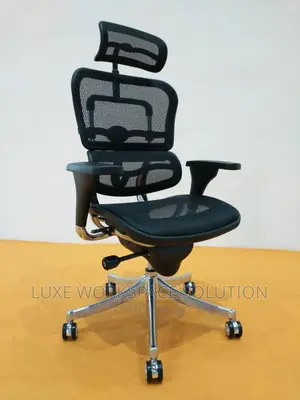 Ergohuman Ergonomic High Back Office Chair