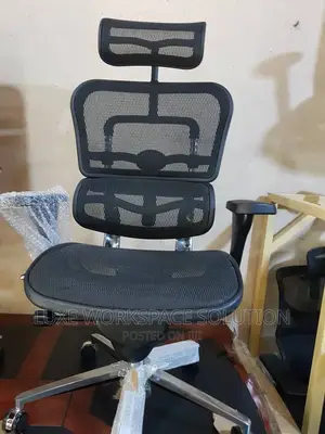 Ergohuman Ergonomic Office Chair