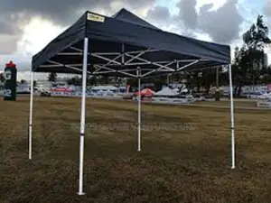 10 X 10 Foldable Canopy / Gazebo/ Tent.