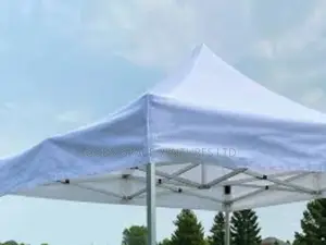 10 X 10 Foldable Canopy / Gazebo/ Tent.