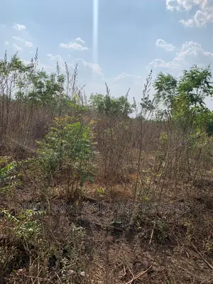 1000 Acres of Land for Sale at Cheaper Price in ODEDA Abeoku