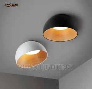 Modern LED Ceiling Frosh Lamps With 3 Different Colourslight