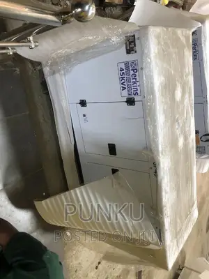 45 Kva Perkins Power Generator With Full Copper Capacity