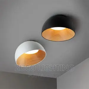 Modern Luxury Creative LED Ceiling Light