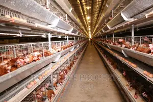 C of O Certificate Poultry Farm