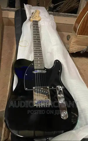 Professional Electric Guitar