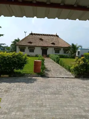 Lasting Well Build Bush Bar Gazebo Hut in Lagos