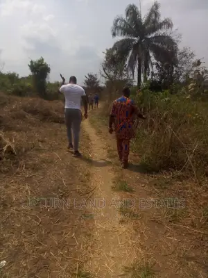 500 Acres of Land for Sale at Cheaper Price in Ibadan