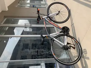 Aster Bicycle