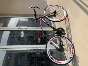 VLRA Marathon Adult Bicycle